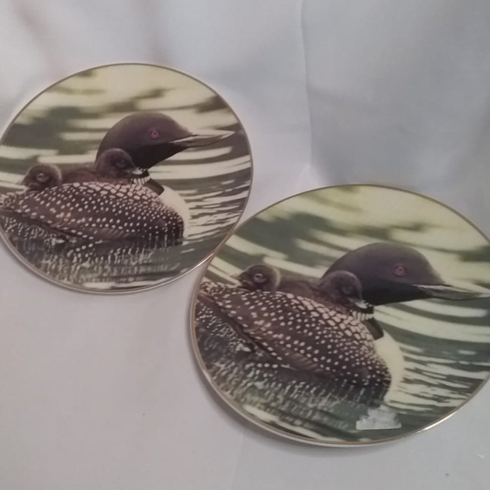 loon collector plates set of 2